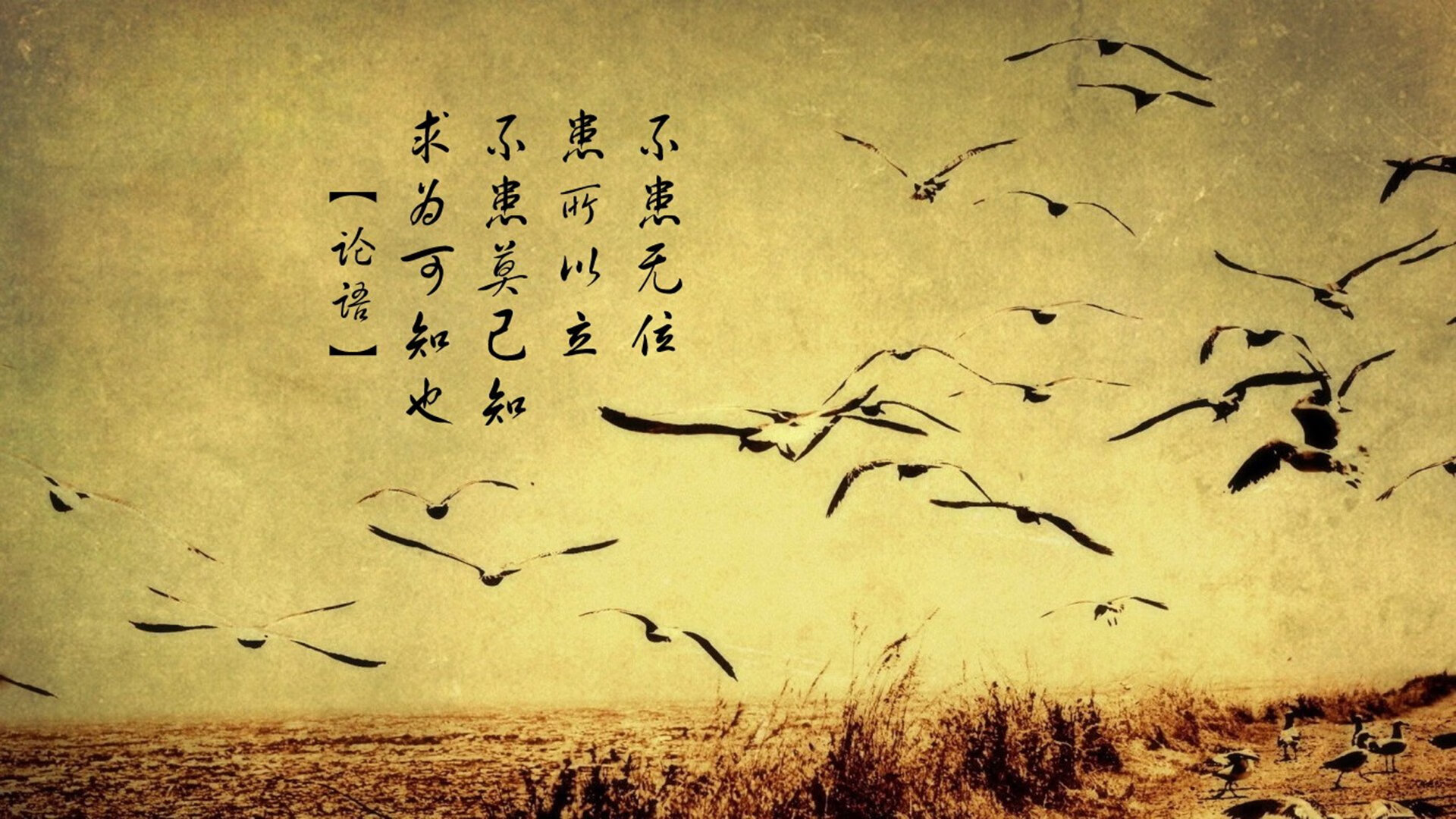 黑龙江有机大米生产厂家有哪些(黑龙江大米厂家直销)
