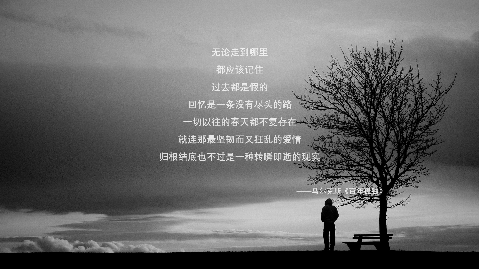 什么是有机茶什么是无机茶区别(什么叫有机茶和无机茶)